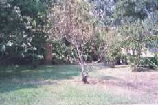 side2.jpg (7132 bytes)