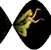 ribfairy.gif
