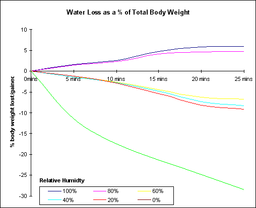 graf6.gif (5131 bytes)