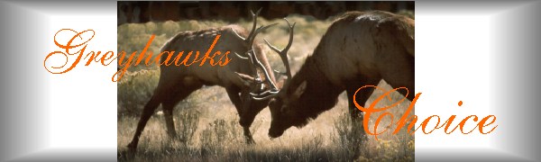 Bull Elk Battle picture by Lee Snipes