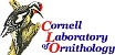 Cornell Laboratory of Ornithology Site