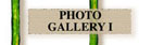 Photo Gallery I - Sepia Toned Photographs
