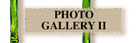 Photo Gallery II - Hand Tinted Sepia Toned Photographs