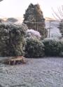 frost