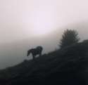 misty