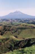 mtviews