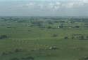 Farmland