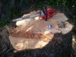 mac_stump