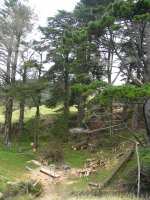 mill_site
