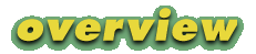 overview