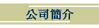 公司簡介