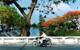 Picture of Chiang Mai Canal and Trees