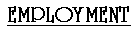 EMPLOYMENT.gif (1212 bytes)