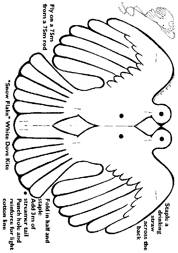 dove kite pattern