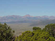 cedardunder.JPG (63813 bytes)