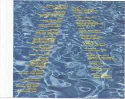 Exile In Guyville 15th Anniversary Reissue back cover