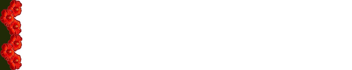 hibbdrsb.jpg (14020 bytes)