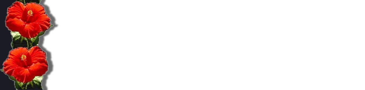 Hibblack.jpg (23006 bytes)