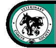 vcslogotb1.gif (3167 bytes)