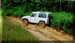 Felipe Acebedo's D90 pulling from a rut. Do we engage the ARB's? :-)