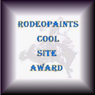 RodeoPaint Award