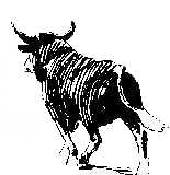 Bull