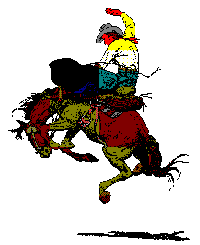 Bucking Bronc