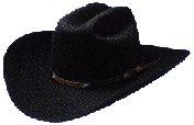 Black Hat