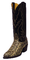 Snakeskin1