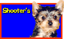 Shooter's
            Cool Site Award