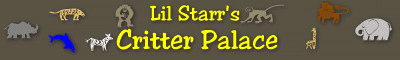 Critter Palace Logo