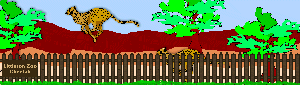 Click here to hear the cheetahs!