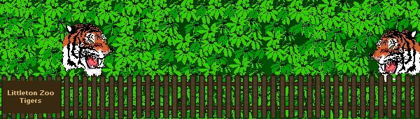 Click here to hear the tigers roar!!