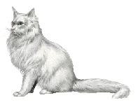 white angora