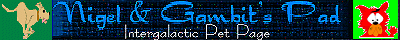 banner1a