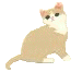 kit6