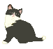 kit7