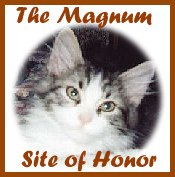 Magnum