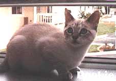 pookster2