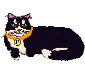 punkin