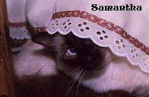 samtha2