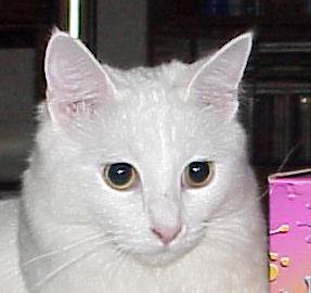 zoe10