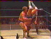 Harley Race