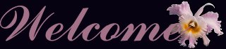 welcome