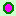 bbrosa1.JPG (1075 bytes)
