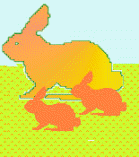jcandr1.JPG (12019 bytes)