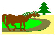 jcbos1.JPG (12766 bytes)
