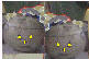 frpomp1.JPG (3853 bytes)