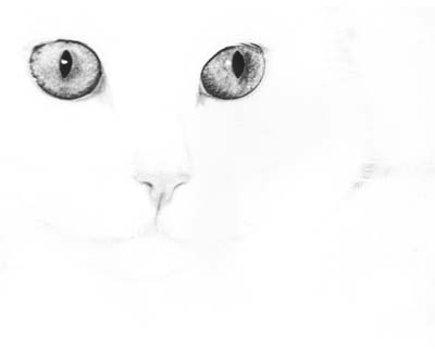 Burgie 3.jpg (5539 bytes)