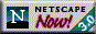 Netscape Animated Logo